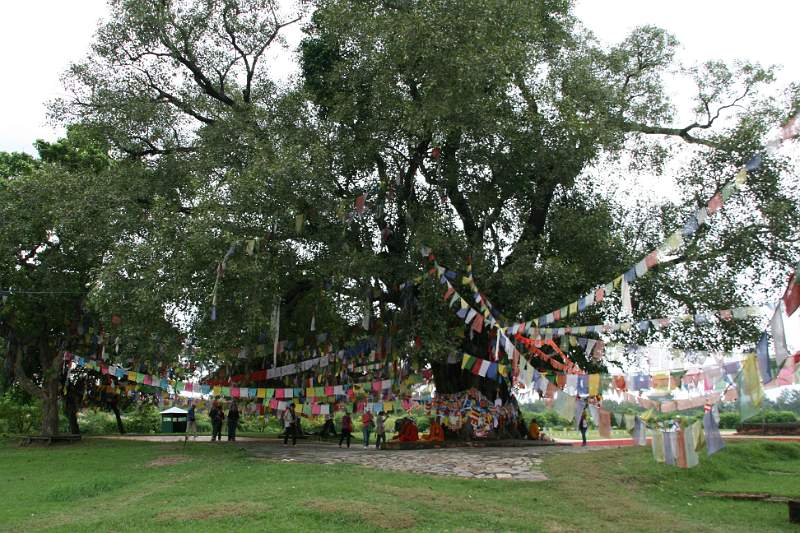 India & Nepal 2011 - 0658